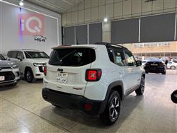 جيب رينيجيد